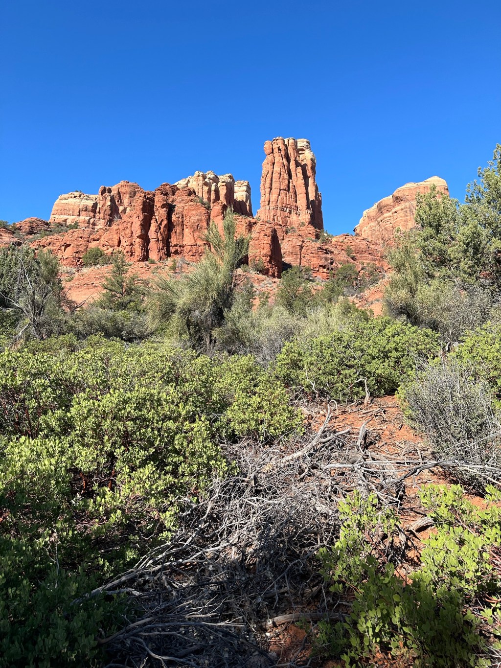 01 – Tomorrow is the start of our special trip to&nbsp;Alaska