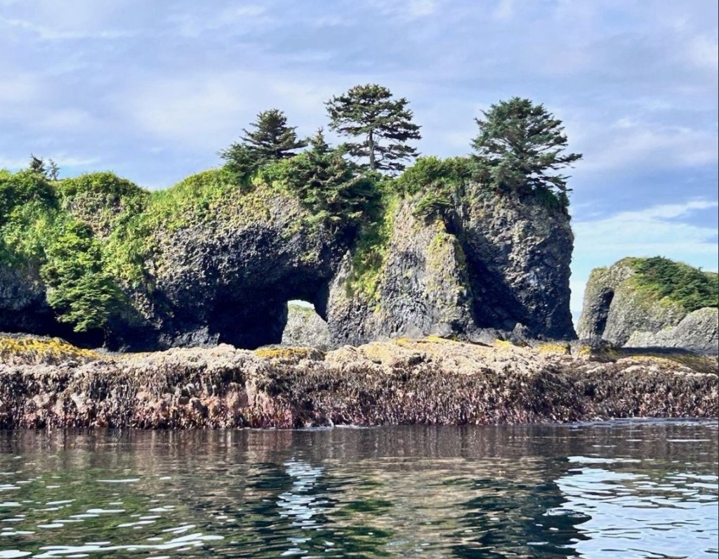 03 – Marine tour in Sitka with whales, otters and&nbsp;more