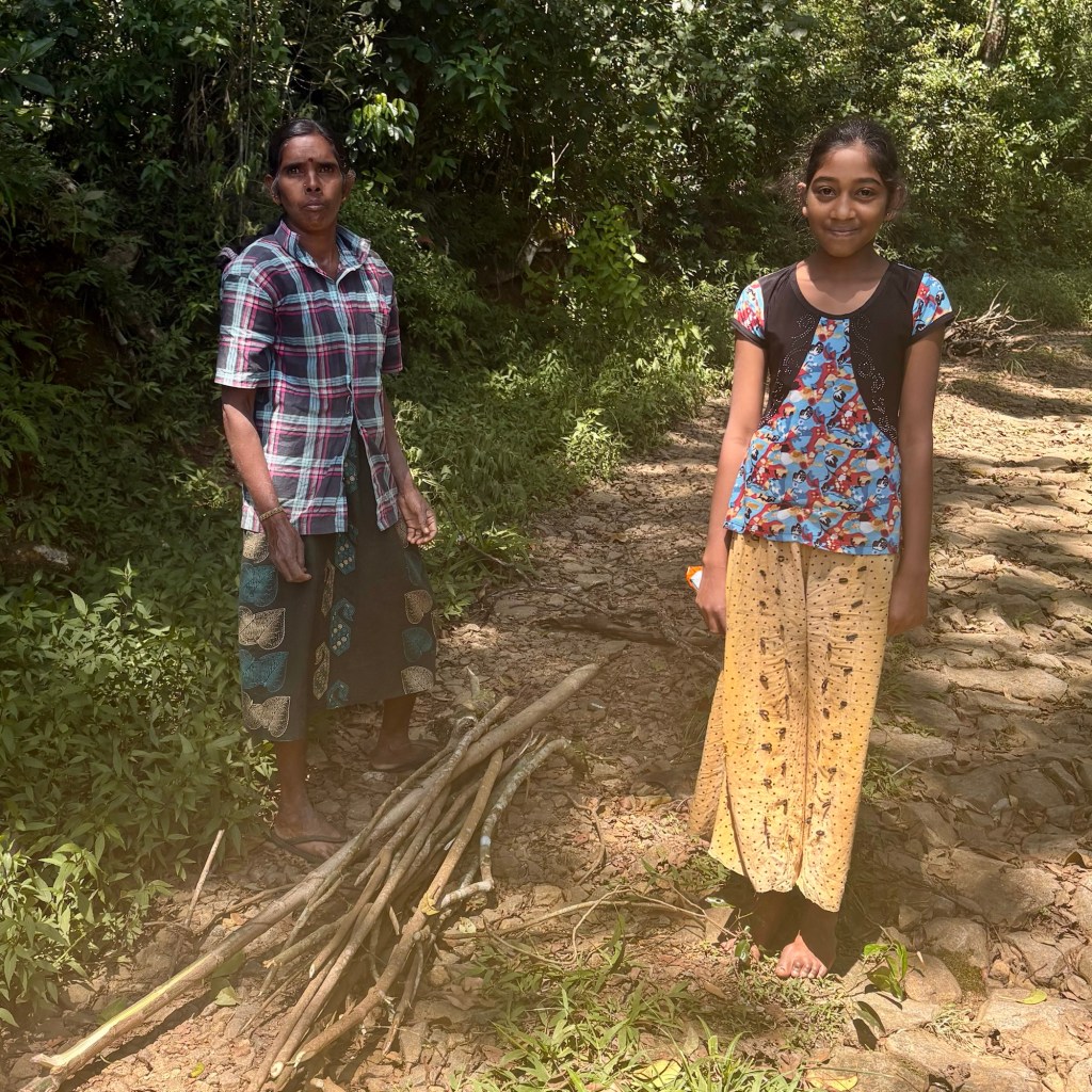 10 – The Pekoe&nbsp;Trail